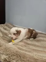 processed/468c6d7d-95ae-4b33-ab31-639b23afafb8/listing/cb2f3482-9d99-4aac-934f-a66bc780b815/18619194-bc79-4e2c-b2cc-e3c5c0bc555d