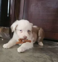 processed/468c6d7d-95ae-4b33-ab31-639b23afafb8/listing/cb2f3482-9d99-4aac-934f-a66bc780b815/cb2580a0-29cf-4903-9d4a-0753b4aabbc5