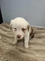 processed/468c6d7d-95ae-4b33-ab31-639b23afafb8/listing/cb2f3482-9d99-4aac-934f-a66bc780b815/fdd30b7d-0063-4618-bb1b-3fc451f930c2