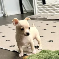 processed/468cd816-7d96-41ae-aa95-8b90c3f9a2e9/listing/1069a94c-2c00-4238-a1d3-5d48226cfe1e/56ab17e9-e20f-4885-9ad4-62e50b0d9ac6