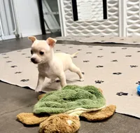 processed/468cd816-7d96-41ae-aa95-8b90c3f9a2e9/listing/1069a94c-2c00-4238-a1d3-5d48226cfe1e/5d68423f-66a6-4a2b-8c2d-e342083fd766