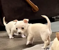 processed/468cd816-7d96-41ae-aa95-8b90c3f9a2e9/listing/1069a94c-2c00-4238-a1d3-5d48226cfe1e/5ef0aaae-a870-4740-bf1f-f693d17a4c2d