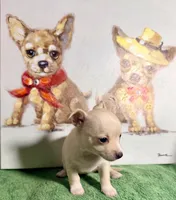 processed/468cd816-7d96-41ae-aa95-8b90c3f9a2e9/listing/1069a94c-2c00-4238-a1d3-5d48226cfe1e/6f25217f-a408-461f-8b0b-82018fcdfc35