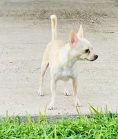 processed/468cd816-7d96-41ae-aa95-8b90c3f9a2e9/listing/1069a94c-2c00-4238-a1d3-5d48226cfe1e/81ea5815-180a-49f6-a489-e347ffdb1a4a