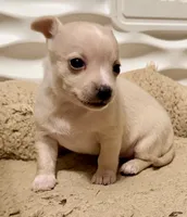 processed/468cd816-7d96-41ae-aa95-8b90c3f9a2e9/listing/1069a94c-2c00-4238-a1d3-5d48226cfe1e/c3208dce-30b5-49d5-a5a7-2893bab9c416