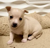 processed/468cd816-7d96-41ae-aa95-8b90c3f9a2e9/listing/1069a94c-2c00-4238-a1d3-5d48226cfe1e/f0c9dab4-b2c2-4952-a79f-958c5ce3944e