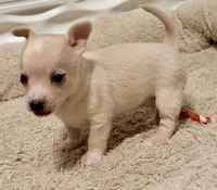 processed/468cd816-7d96-41ae-aa95-8b90c3f9a2e9/listing/1069a94c-2c00-4238-a1d3-5d48226cfe1e/f9e3cace-dc52-4081-af81-7f83df506740