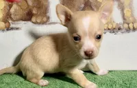 processed/468cd816-7d96-41ae-aa95-8b90c3f9a2e9/listing/e5e42247-78bf-4b77-ae5a-80d7e15242c1/0c5f29e1-4aa2-4f45-8f86-d83874b504b8