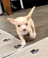 processed/468cd816-7d96-41ae-aa95-8b90c3f9a2e9/listing/e5e42247-78bf-4b77-ae5a-80d7e15242c1/135510b9-d6b8-422e-8840-6e85471fe91e