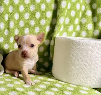 processed/468cd816-7d96-41ae-aa95-8b90c3f9a2e9/listing/e5e42247-78bf-4b77-ae5a-80d7e15242c1/16d08711-8f4c-4aad-8388-e585f011f67d