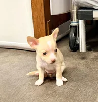 processed/468cd816-7d96-41ae-aa95-8b90c3f9a2e9/listing/e5e42247-78bf-4b77-ae5a-80d7e15242c1/690f3043-d3aa-4b8d-a19a-4bec5b226b9c