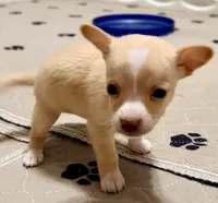 processed/468cd816-7d96-41ae-aa95-8b90c3f9a2e9/listing/e5e42247-78bf-4b77-ae5a-80d7e15242c1/8c0ba95d-7ad6-407c-a176-023e34384857