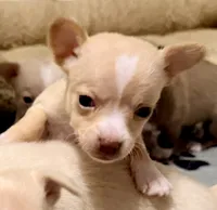 processed/468cd816-7d96-41ae-aa95-8b90c3f9a2e9/listing/e5e42247-78bf-4b77-ae5a-80d7e15242c1/b0bbbbcd-8472-4f66-bc1b-1de99c8078c5