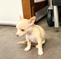 processed/468cd816-7d96-41ae-aa95-8b90c3f9a2e9/listing/e5e42247-78bf-4b77-ae5a-80d7e15242c1/b25b9f9b-e9dc-4bdf-985e-08a0e6e11963