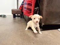 processed/468cd816-7d96-41ae-aa95-8b90c3f9a2e9/listing/e5e42247-78bf-4b77-ae5a-80d7e15242c1/ba7449eb-d3e9-4558-a8a9-e8b59e210f18