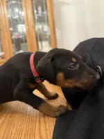 processed/46971a6f-1980-46b3-9d5b-935c6cfd5c0e/listing/63addc92-be4b-46df-a774-c46b7f5fc9b7/cb12a7fa-fc7a-420a-b99c-159ca932e34e