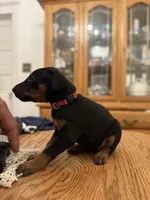 processed/46971a6f-1980-46b3-9d5b-935c6cfd5c0e/listing/63addc92-be4b-46df-a774-c46b7f5fc9b7/f25749b4-d609-48a1-8fea-f9cefb81d827