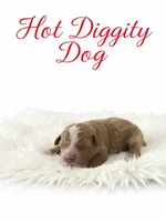 Hot dog Micro Mini, a male Miniature Goldendoodle for sale in Spring Hill, FL – 1 of 9
