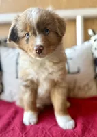 processed/4699521c-22d2-4a74-bf1a-62848d91c4e2/listing/12212179-a1b2-4b3a-ab0f-c9a3083fd97a/0e63a45e-dfdb-4830-9352-8f85762bdc71