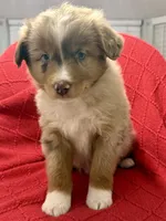 processed/4699521c-22d2-4a74-bf1a-62848d91c4e2/listing/12212179-a1b2-4b3a-ab0f-c9a3083fd97a/6143beab-bbfa-48f2-8667-ace66c471049