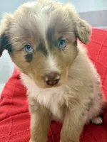 processed/4699521c-22d2-4a74-bf1a-62848d91c4e2/listing/12212179-a1b2-4b3a-ab0f-c9a3083fd97a/b7e2098a-66a6-45b4-a4d0-0131afcc7576