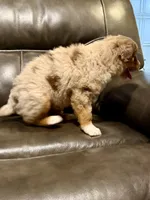 processed/4699521c-22d2-4a74-bf1a-62848d91c4e2/listing/12212179-a1b2-4b3a-ab0f-c9a3083fd97a/b932951b-e0bb-4962-998a-112449493208