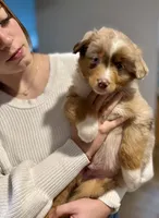 processed/4699521c-22d2-4a74-bf1a-62848d91c4e2/listing/12212179-a1b2-4b3a-ab0f-c9a3083fd97a/c16b95fe-9088-4050-9cd0-b90484d050cd