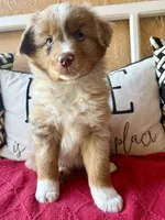 processed/4699521c-22d2-4a74-bf1a-62848d91c4e2/listing/12212179-a1b2-4b3a-ab0f-c9a3083fd97a/eeb361a5-6638-44c6-a680-5706d64aa15e