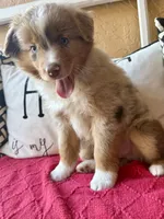 processed/4699521c-22d2-4a74-bf1a-62848d91c4e2/listing/12212179-a1b2-4b3a-ab0f-c9a3083fd97a/f0abbc6e-23b7-4f79-adac-e611058e7dd9