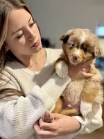 processed/4699521c-22d2-4a74-bf1a-62848d91c4e2/listing/12212179-a1b2-4b3a-ab0f-c9a3083fd97a/f3afcb85-b602-41f0-814a-5207224b8519