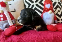 processed/4699521c-22d2-4a74-bf1a-62848d91c4e2/listing/313f64ec-d8ec-409f-b024-cd81932ce084/1b6fdc31-60b7-496f-acbe-0aaede4452d3