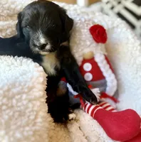 processed/4699521c-22d2-4a74-bf1a-62848d91c4e2/listing/313f64ec-d8ec-409f-b024-cd81932ce084/4c2ed058-9682-4cba-ab7f-4626c56f47d4