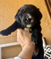 processed/4699521c-22d2-4a74-bf1a-62848d91c4e2/listing/313f64ec-d8ec-409f-b024-cd81932ce084/6213e806-7e68-48d5-8838-6187223f214d