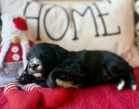 processed/4699521c-22d2-4a74-bf1a-62848d91c4e2/listing/313f64ec-d8ec-409f-b024-cd81932ce084/9a3a8020-63a2-4802-ba27-96ef1323b72e