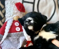 processed/4699521c-22d2-4a74-bf1a-62848d91c4e2/listing/313f64ec-d8ec-409f-b024-cd81932ce084/c1fb9ed1-083a-44e7-9918-f18fab141dad