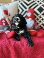 processed/4699521c-22d2-4a74-bf1a-62848d91c4e2/listing/313f64ec-d8ec-409f-b024-cd81932ce084/c86b04c0-cfaa-403c-9a54-aefd9892deae