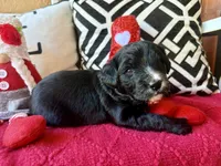 processed/4699521c-22d2-4a74-bf1a-62848d91c4e2/listing/313f64ec-d8ec-409f-b024-cd81932ce084/d3a99c2a-15e7-448a-968a-b5978f5fda77