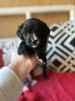 processed/4699521c-22d2-4a74-bf1a-62848d91c4e2/listing/313f64ec-d8ec-409f-b024-cd81932ce084/d84fec6a-7c66-4251-beb6-9bc151bbdac7