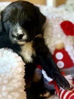 processed/4699521c-22d2-4a74-bf1a-62848d91c4e2/listing/313f64ec-d8ec-409f-b024-cd81932ce084/e296ef05-fcbf-470a-b2d3-7b58ed922c11