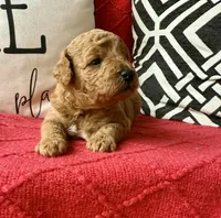 processed/4699521c-22d2-4a74-bf1a-62848d91c4e2/listing/37e56a56-baf2-4b9e-84fe-ffc4ef50f421/00582f2c-270e-4419-898c-797b718c72a4