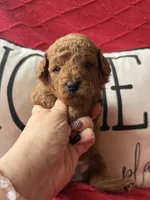 processed/4699521c-22d2-4a74-bf1a-62848d91c4e2/listing/37e56a56-baf2-4b9e-84fe-ffc4ef50f421/065b0951-c265-4b3c-84f8-23255c17eeff