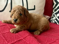 processed/4699521c-22d2-4a74-bf1a-62848d91c4e2/listing/37e56a56-baf2-4b9e-84fe-ffc4ef50f421/31278ee7-f800-4632-8cb9-8275af69ea25