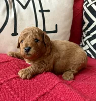 processed/4699521c-22d2-4a74-bf1a-62848d91c4e2/listing/37e56a56-baf2-4b9e-84fe-ffc4ef50f421/366eefa3-d090-42aa-a97b-fa155a334a17