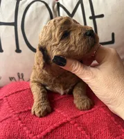 processed/4699521c-22d2-4a74-bf1a-62848d91c4e2/listing/37e56a56-baf2-4b9e-84fe-ffc4ef50f421/91975ad6-578f-48d3-a256-c7e65e9f64e6