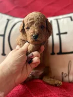 processed/4699521c-22d2-4a74-bf1a-62848d91c4e2/listing/37e56a56-baf2-4b9e-84fe-ffc4ef50f421/aed9198f-5ed4-415c-acc7-3bb4d14fcbe7