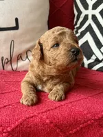 processed/4699521c-22d2-4a74-bf1a-62848d91c4e2/listing/37e56a56-baf2-4b9e-84fe-ffc4ef50f421/c246fa0d-63b9-4484-9233-80d9b882a4f3