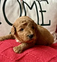 processed/4699521c-22d2-4a74-bf1a-62848d91c4e2/listing/37e56a56-baf2-4b9e-84fe-ffc4ef50f421/cee75c0f-fa74-42c4-b28a-014645928b28