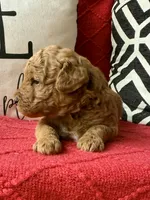 processed/4699521c-22d2-4a74-bf1a-62848d91c4e2/listing/37e56a56-baf2-4b9e-84fe-ffc4ef50f421/fa343b29-add4-4c12-9d66-415c4b38af82