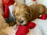 processed/4699521c-22d2-4a74-bf1a-62848d91c4e2/listing/3922aea8-6f28-4170-b0ce-81593cf04fef/052faea0-6a6f-4466-9fc8-908c16be51fd