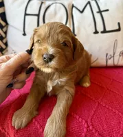 processed/4699521c-22d2-4a74-bf1a-62848d91c4e2/listing/3922aea8-6f28-4170-b0ce-81593cf04fef/10881667-3211-46ce-9ece-409f71a7c9ff